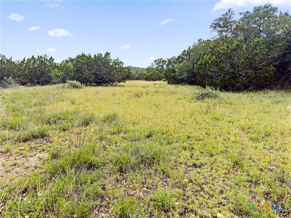 3 acres in Comal County - photo 7