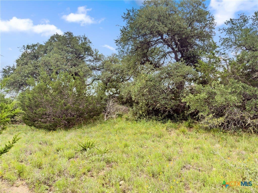 3 acres in Comal County - photo 3