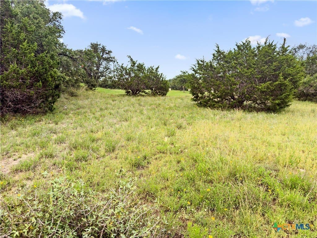 3 acres in Comal County - photo 8