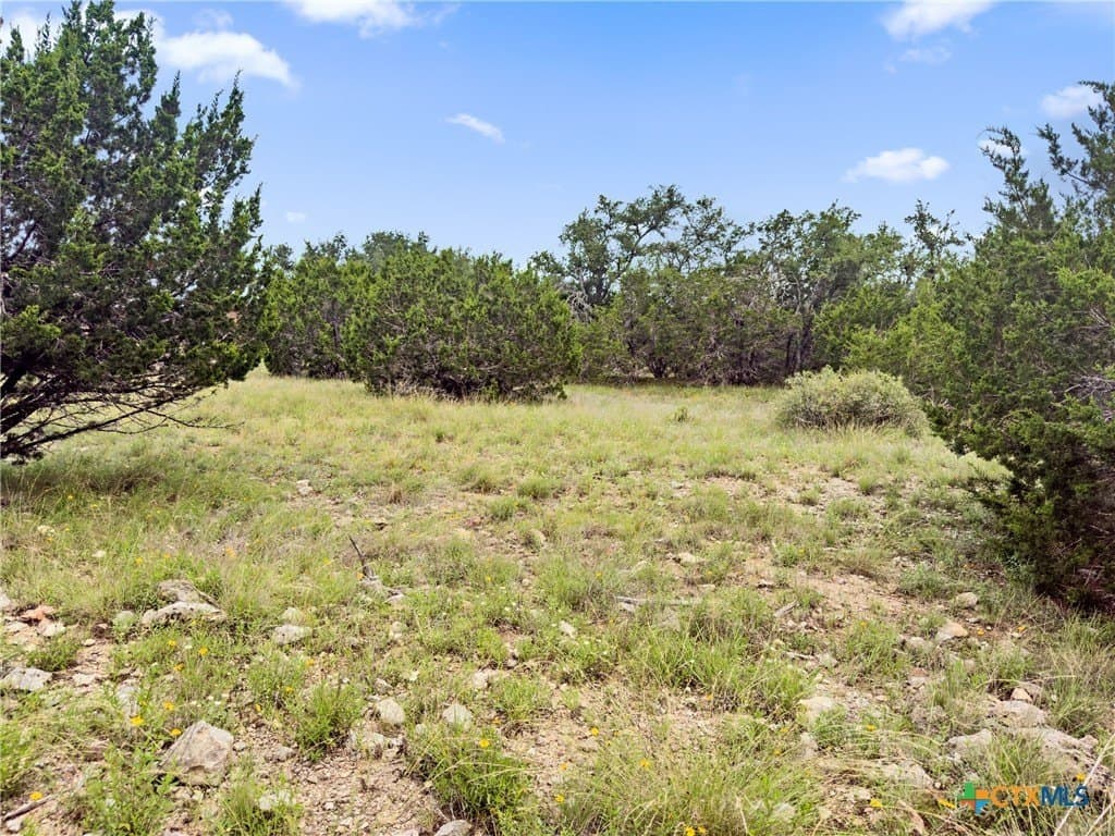 3 acres in Comal County - photo 11