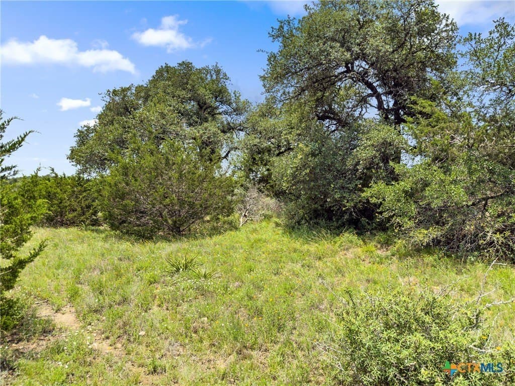 3 acres in Comal County - photo 2
