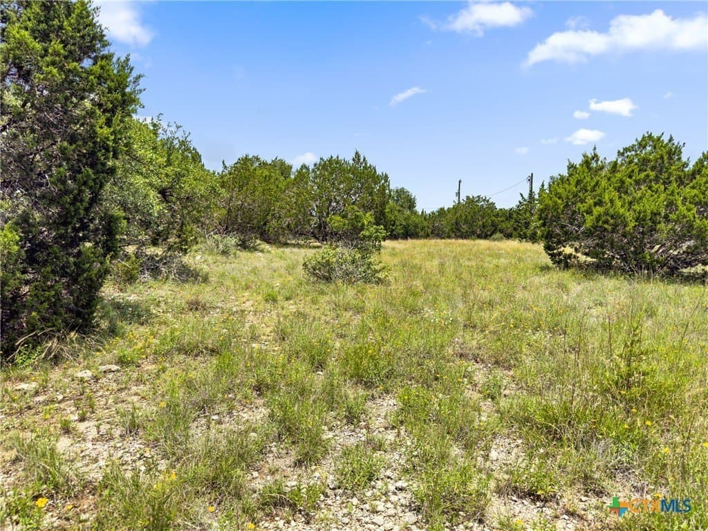 3 acres in Comal County - photo 15