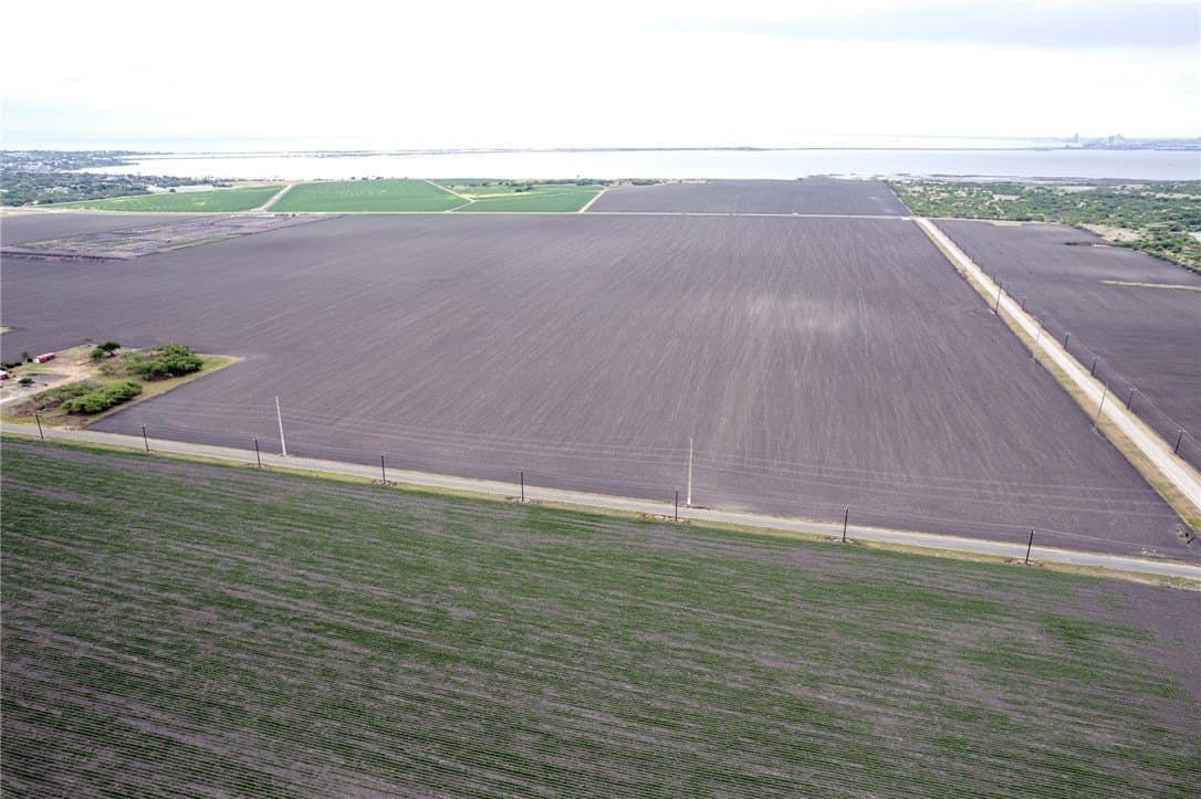 93.87 acres in San Patricio County - photo 2