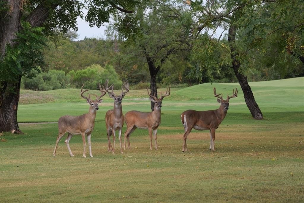 0.28 acres in Hill County - photo 8