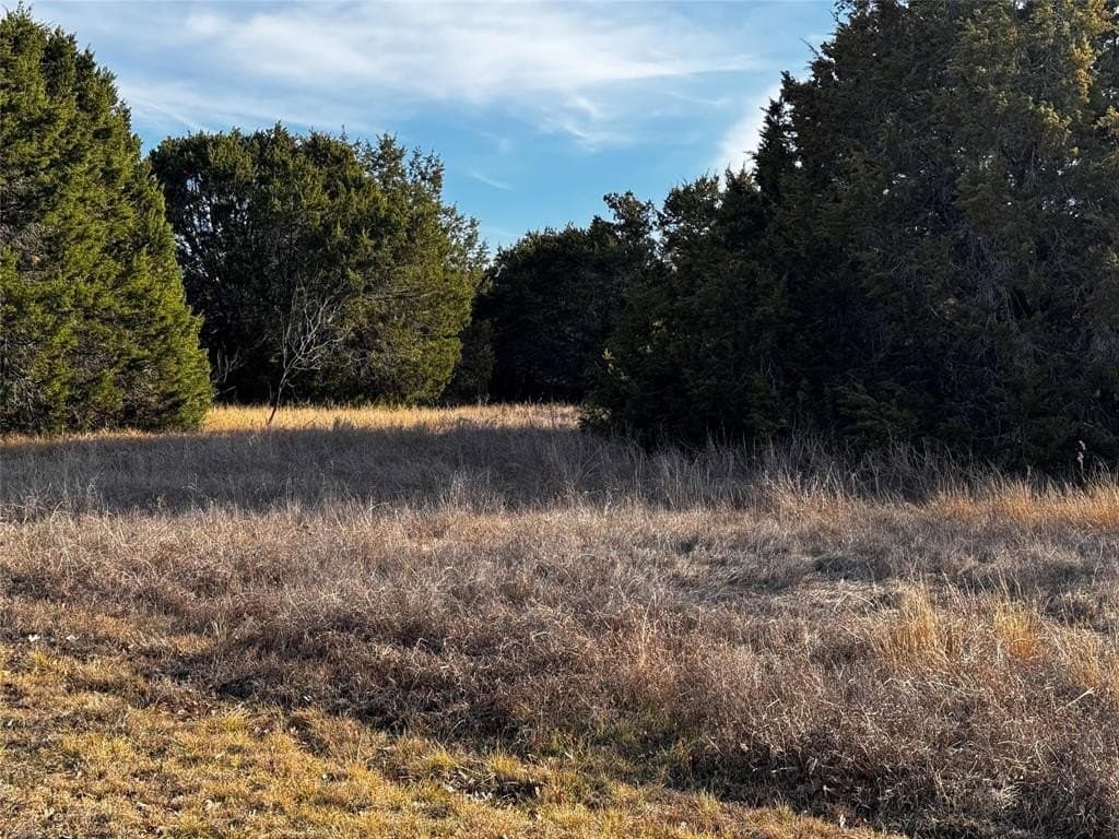 0.28 acres in Hill County - photo 4