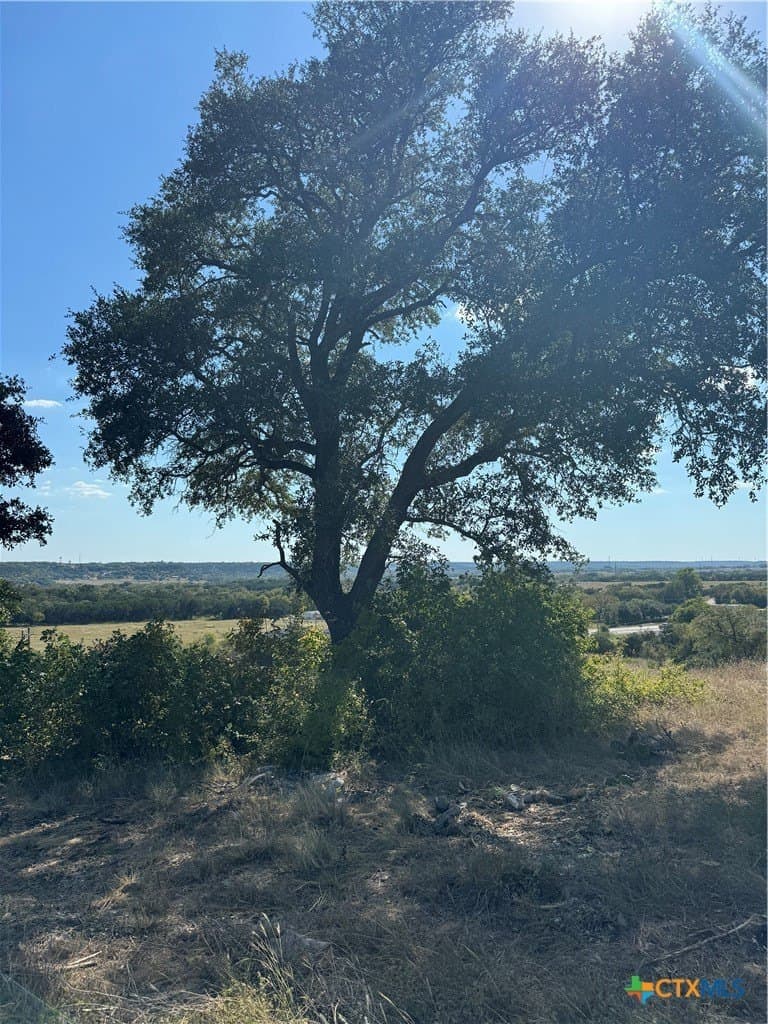 1.09 acres in Bell County - photo 4