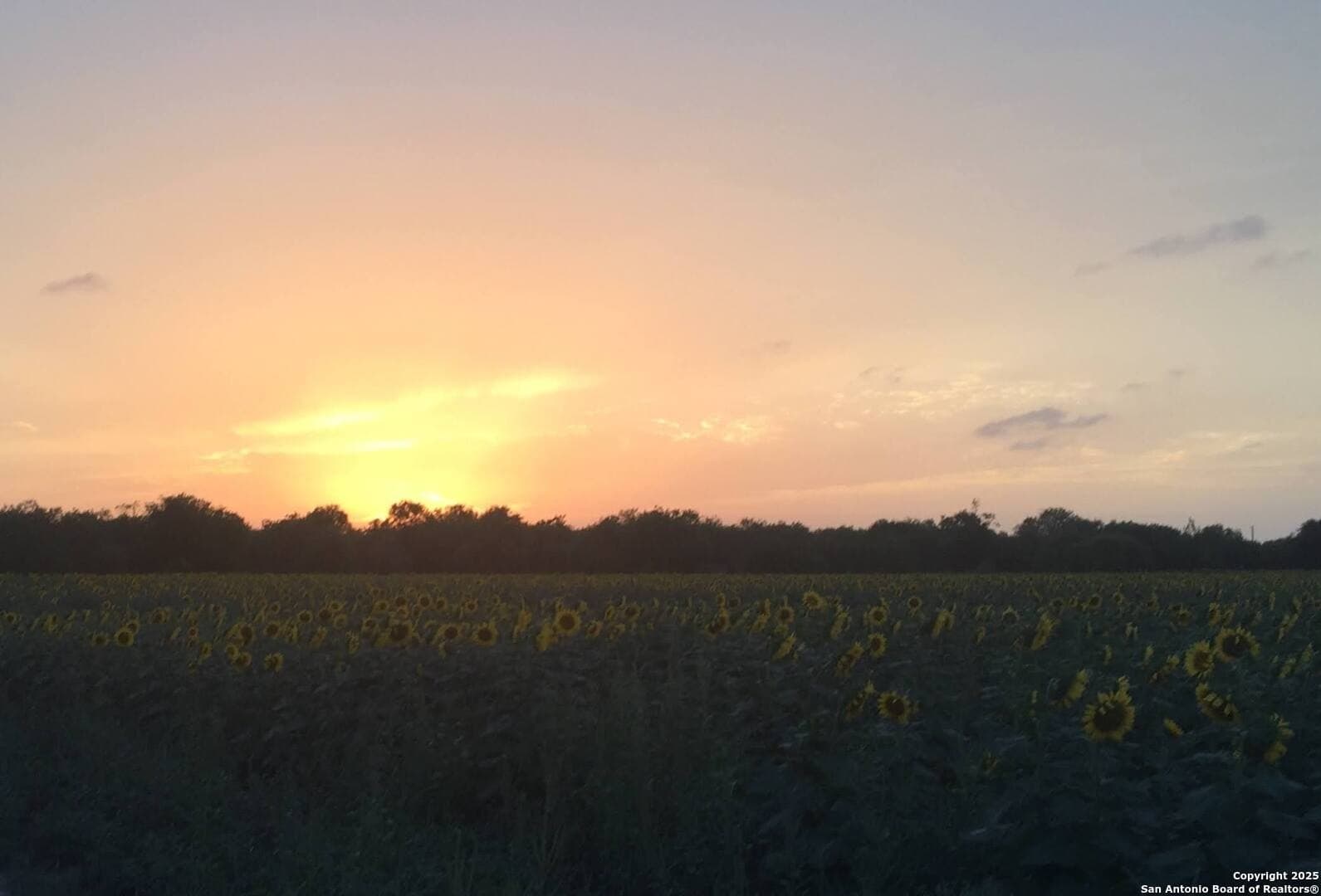 33.16 acres in Medina County - photo 12