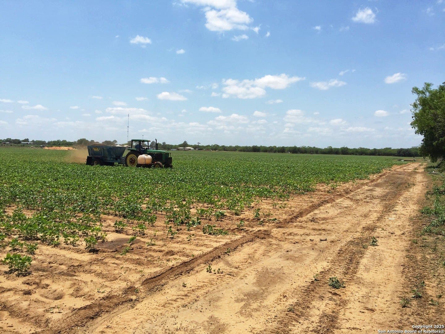33.16 acres in Medina County - photo 13