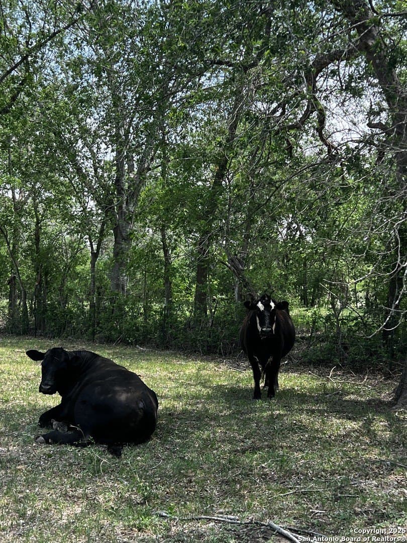 33.16 acres in Medina County - photo 30