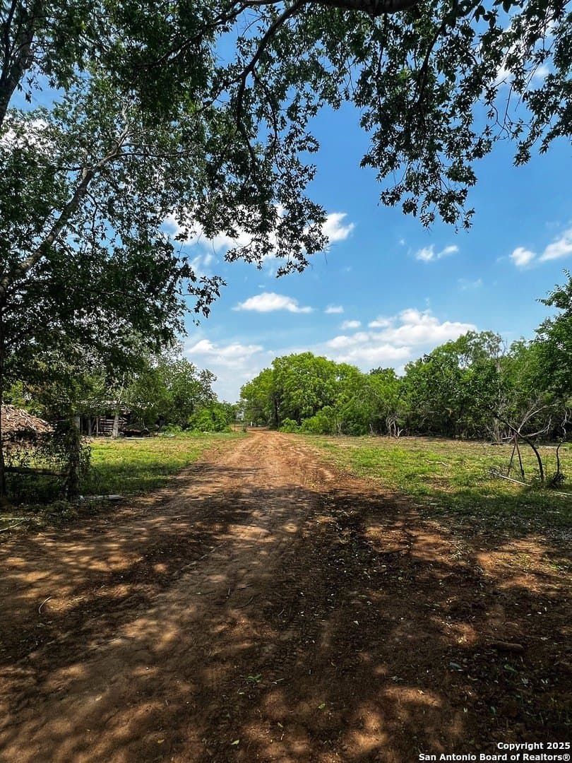 33.16 acres in Medina County - photo 26