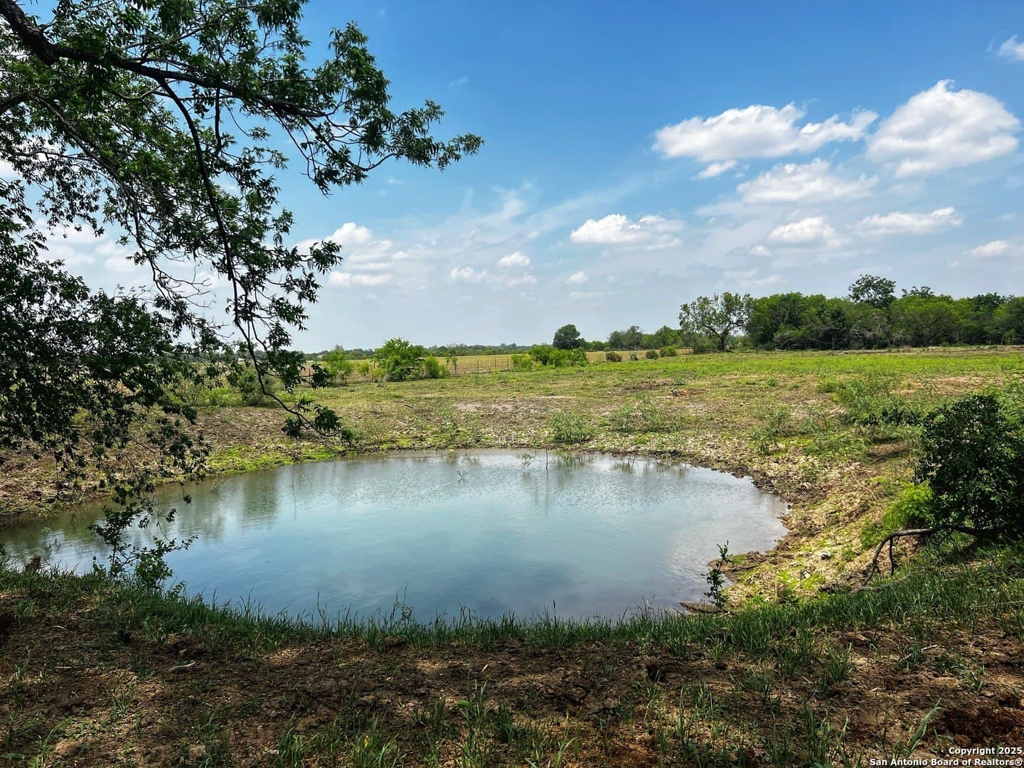 33.16 acres in Medina County - photo 15