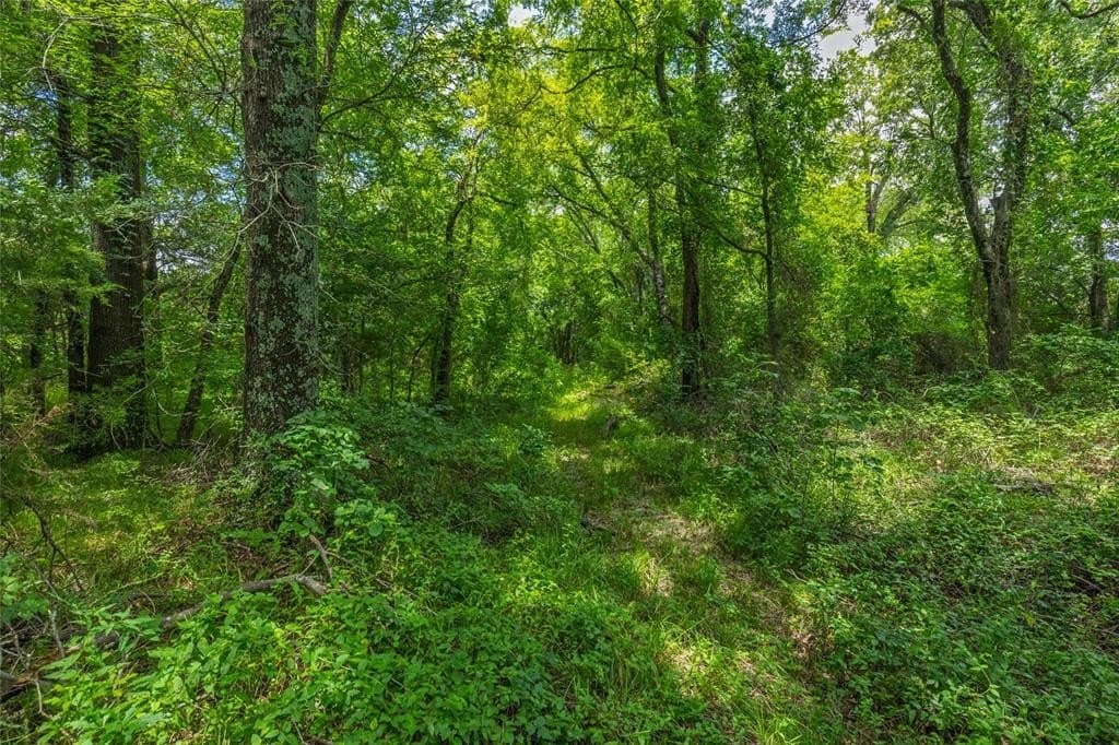 15.4 acres in Hunt County - photo 36
