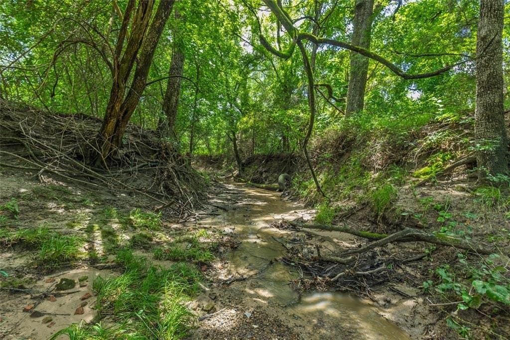 15.4 acres in Hunt County - photo 37