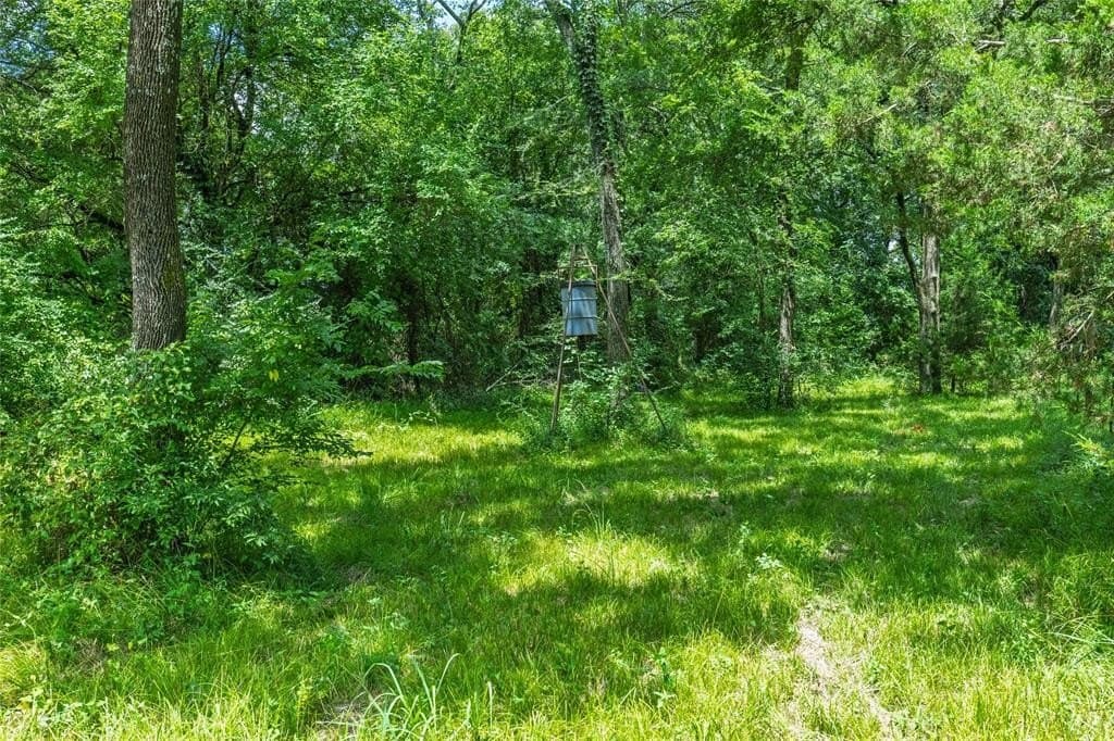 15.4 acres in Hunt County - photo 35