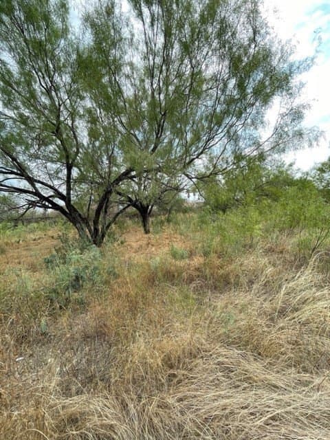 0.37 acres in Uvalde County - photo 15