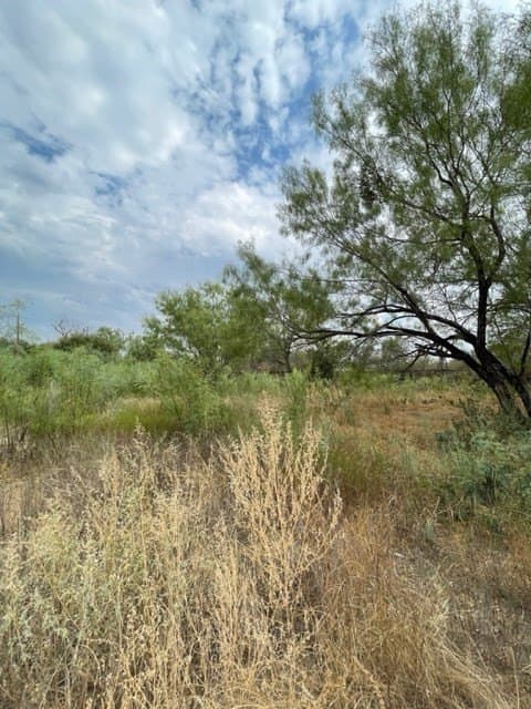 0.37 acres in Uvalde County - photo 16