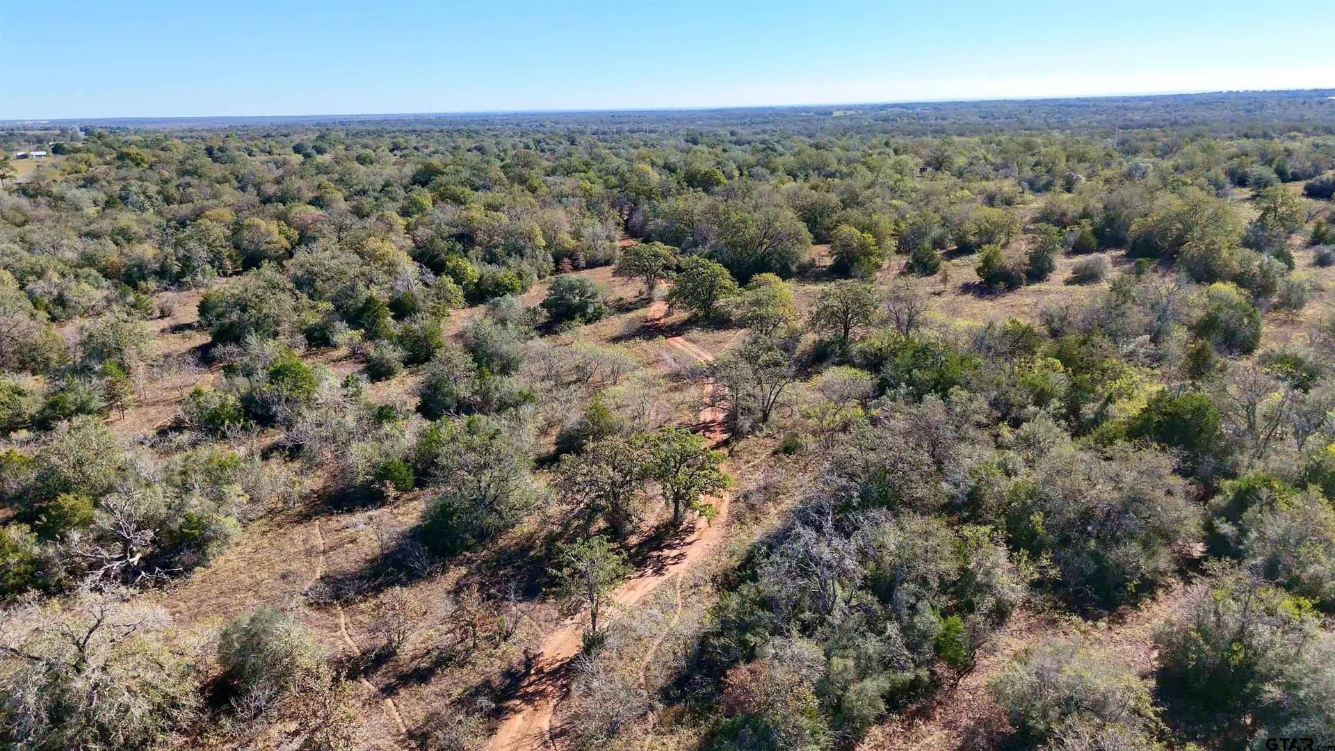 668 acres in Gonzales County - photo 6