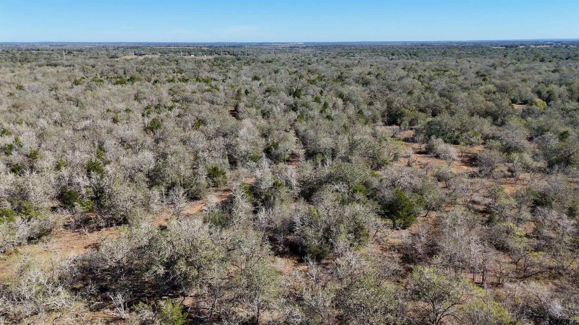 668 acres in Gonzales County - photo 41