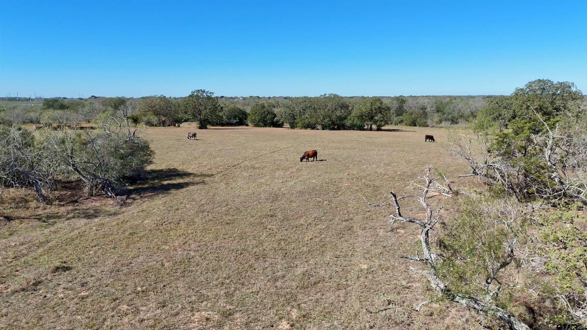 668 acres in Gonzales County - photo 5