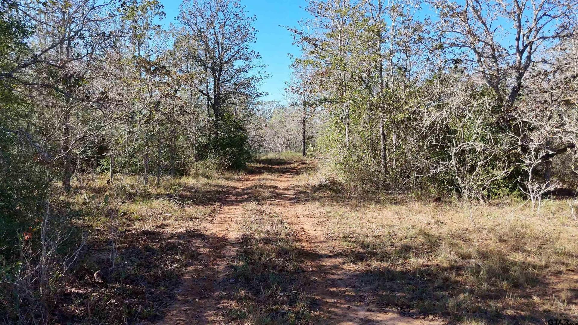 668 acres in Gonzales County - photo 34