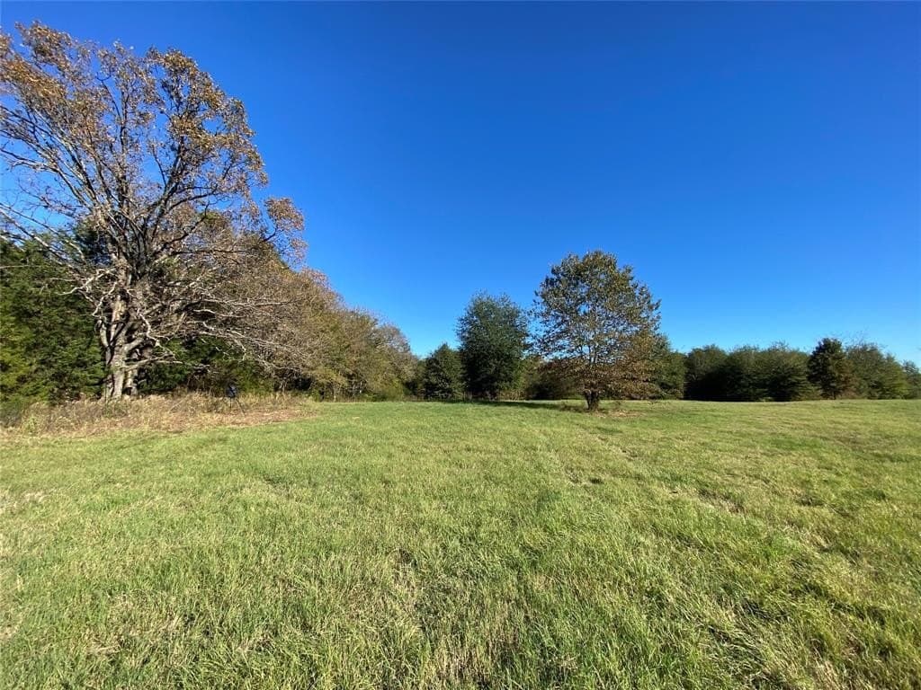 30.77 acres in Hopkins County - photo 9
