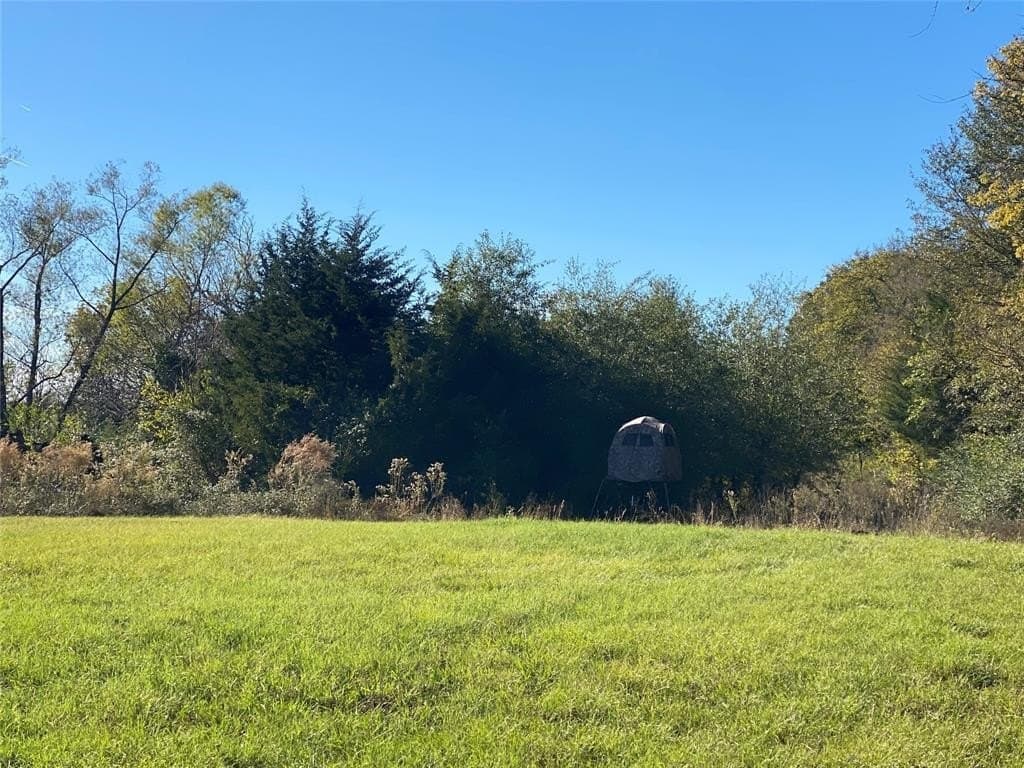 30.77 acres in Hopkins County - photo 8