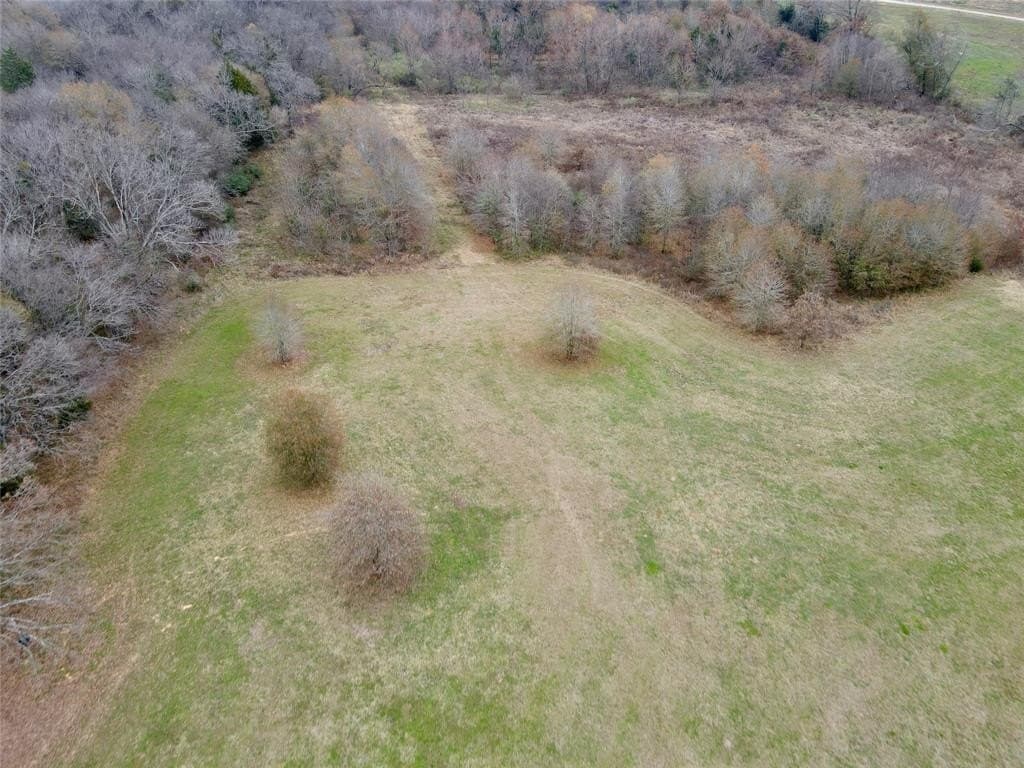 30.77 acres in Hopkins County - photo 4
