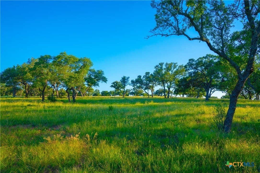 9 acres in Blanco County - photo 7
