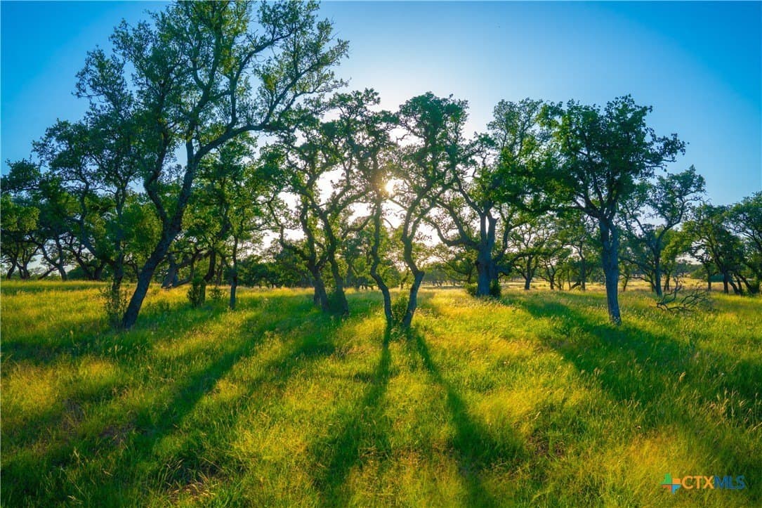 9 acres in Blanco County - photo 6