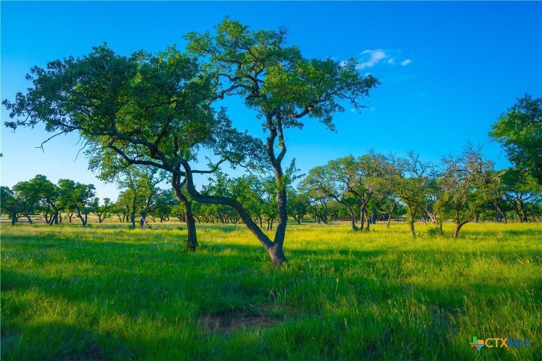 9 acres in Blanco County - photo 3