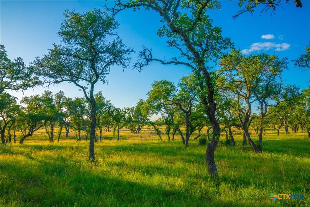 9 acres in Blanco County - photo 12