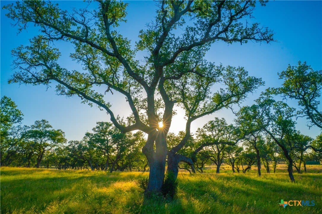 9 acres in Blanco County - photo 8