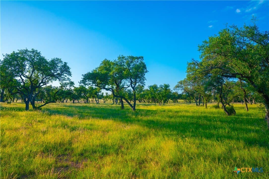 9 acres in Blanco County - photo 2