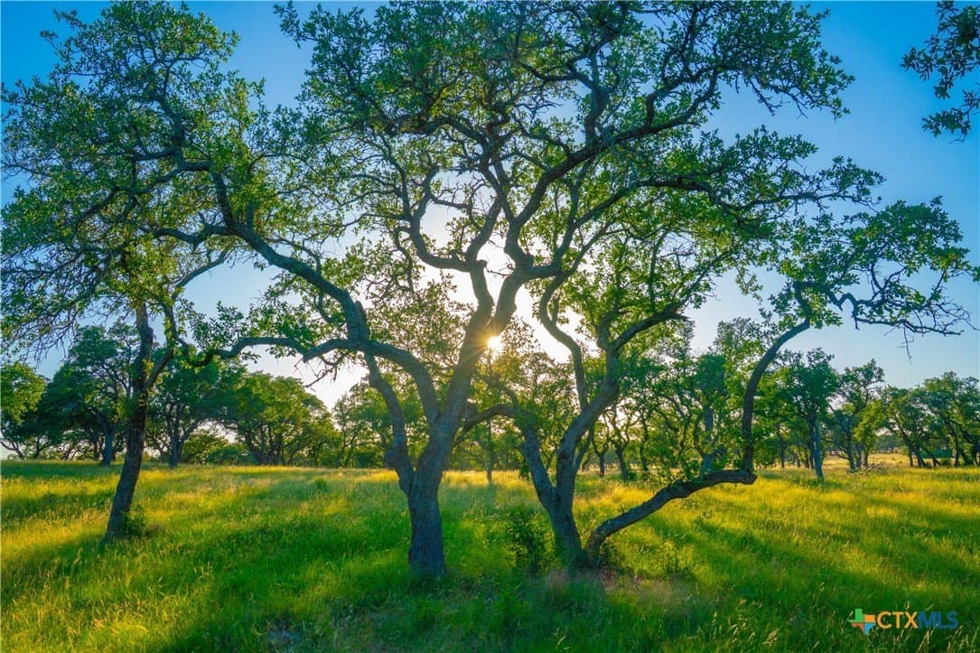 9 acres in Blanco County - photo 4