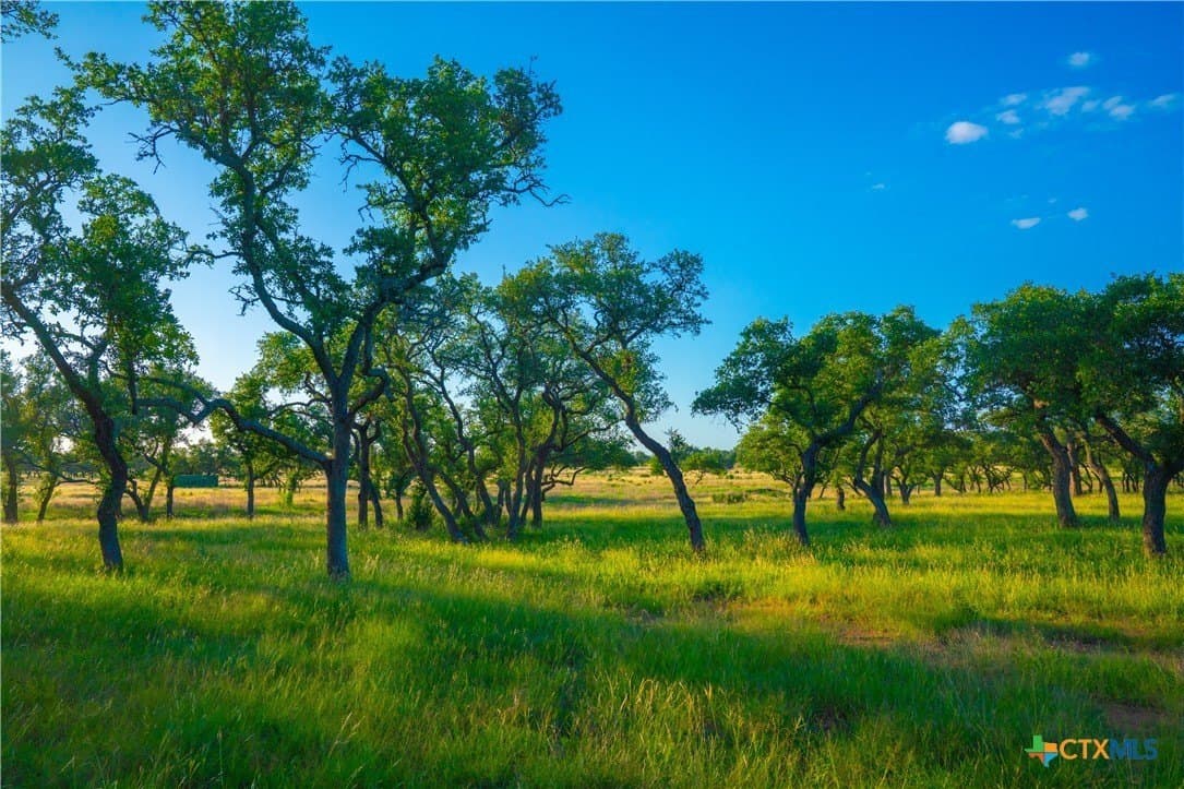 9 acres in Blanco County - photo 9
