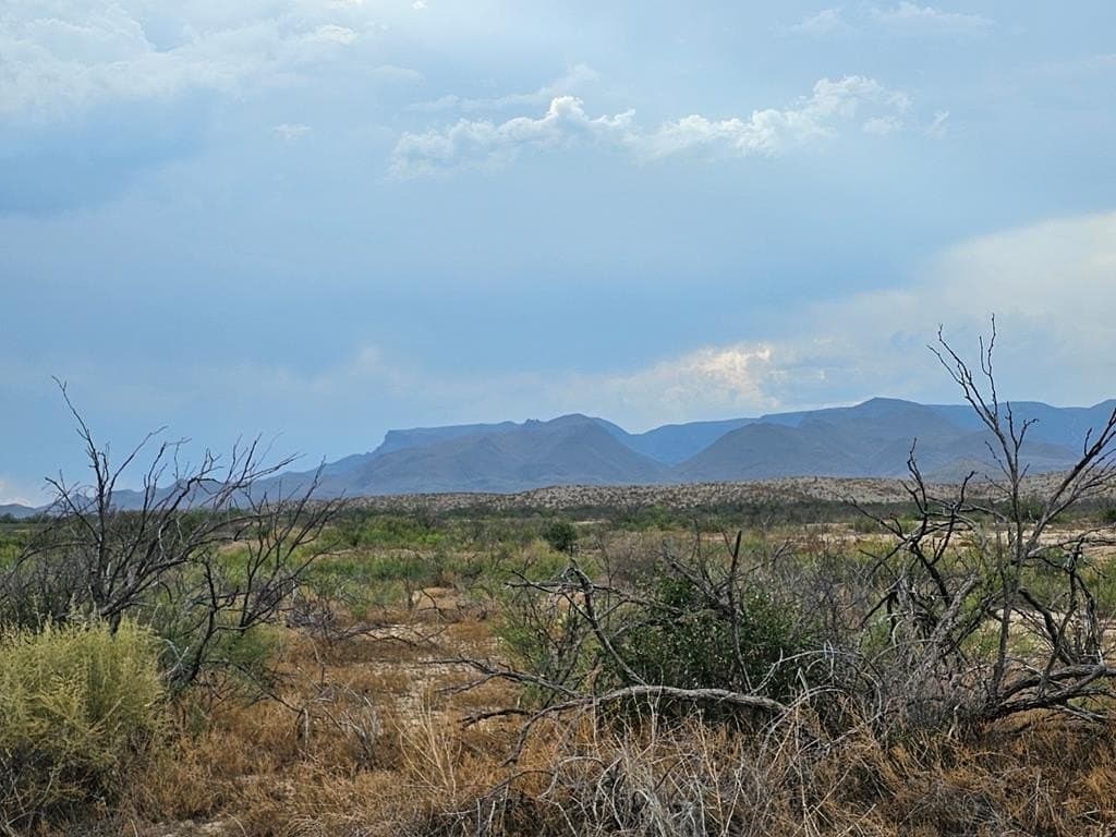 5 acres in Brewster County - photo 15