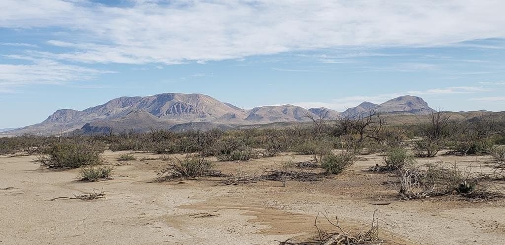 5 acres in Brewster County - photo 20