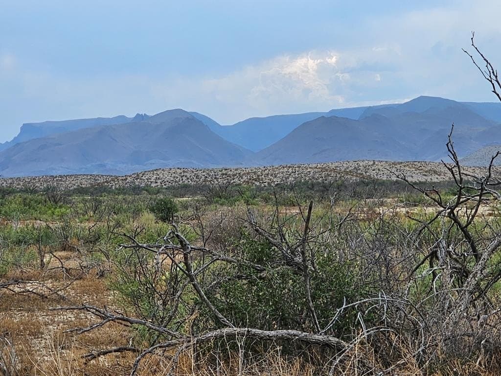 5 acres in Brewster County - photo 11