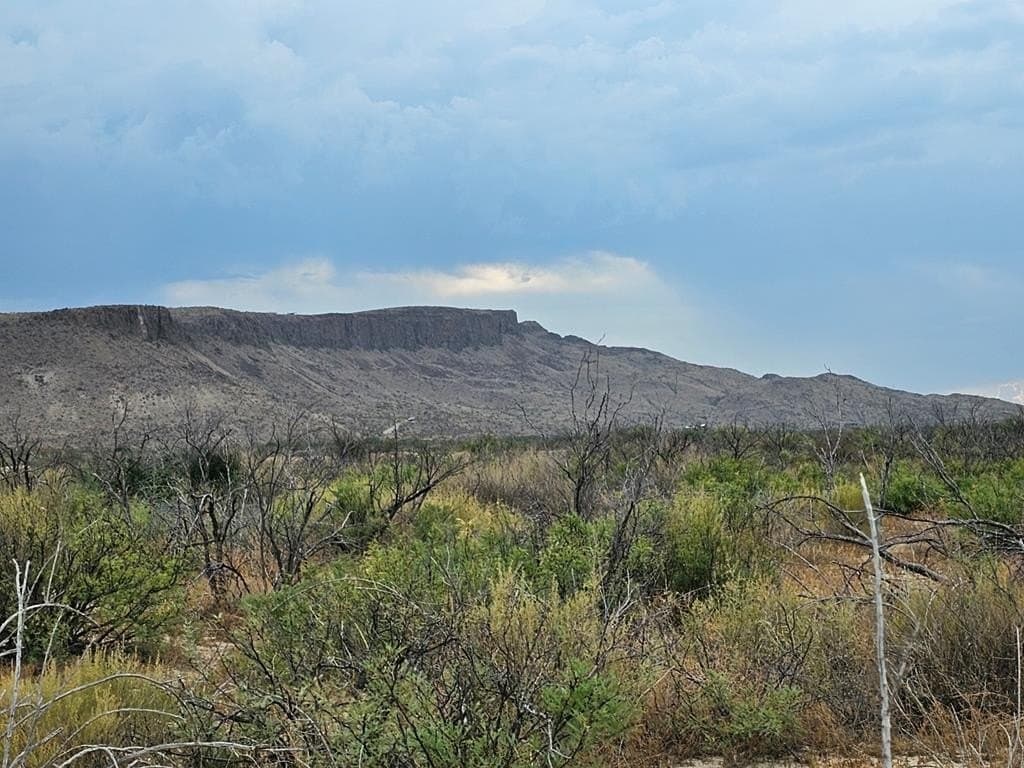 5 acres in Brewster County - photo 12