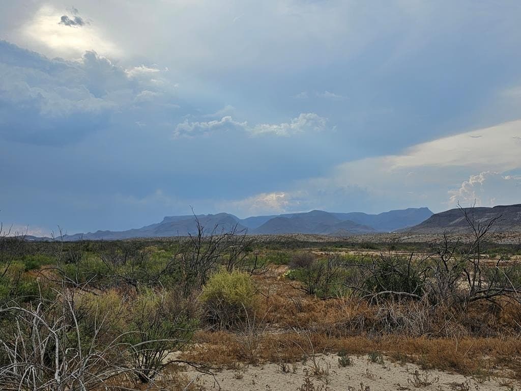 5 acres in Brewster County - photo 7