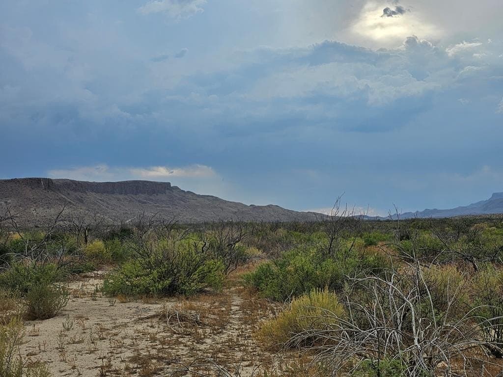 5 acres in Brewster County - photo 16