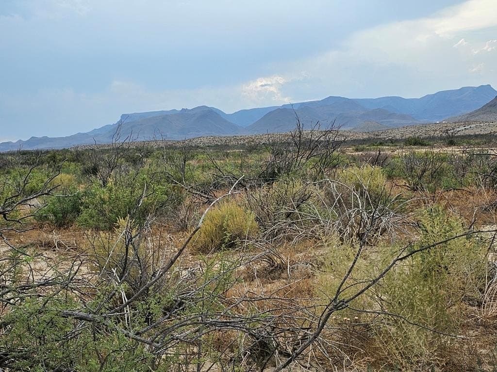 5 acres in Brewster County - photo 8