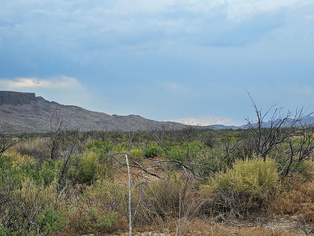 5 acres in Brewster County - photo 14