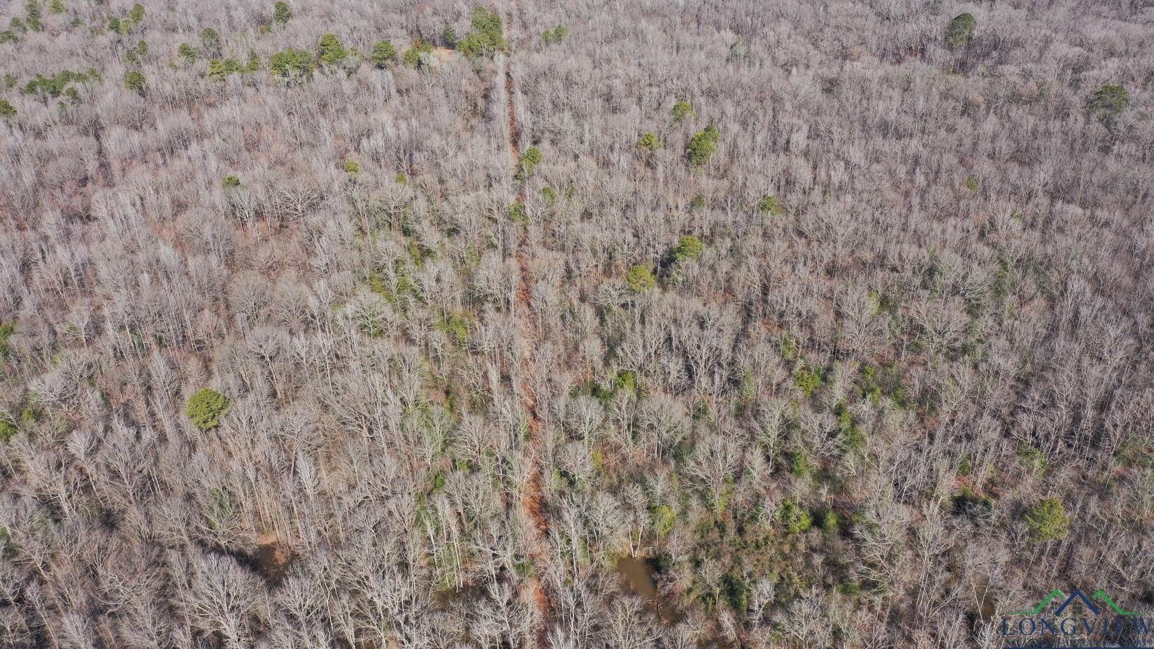 436.08 acres in Cass County - photo 46