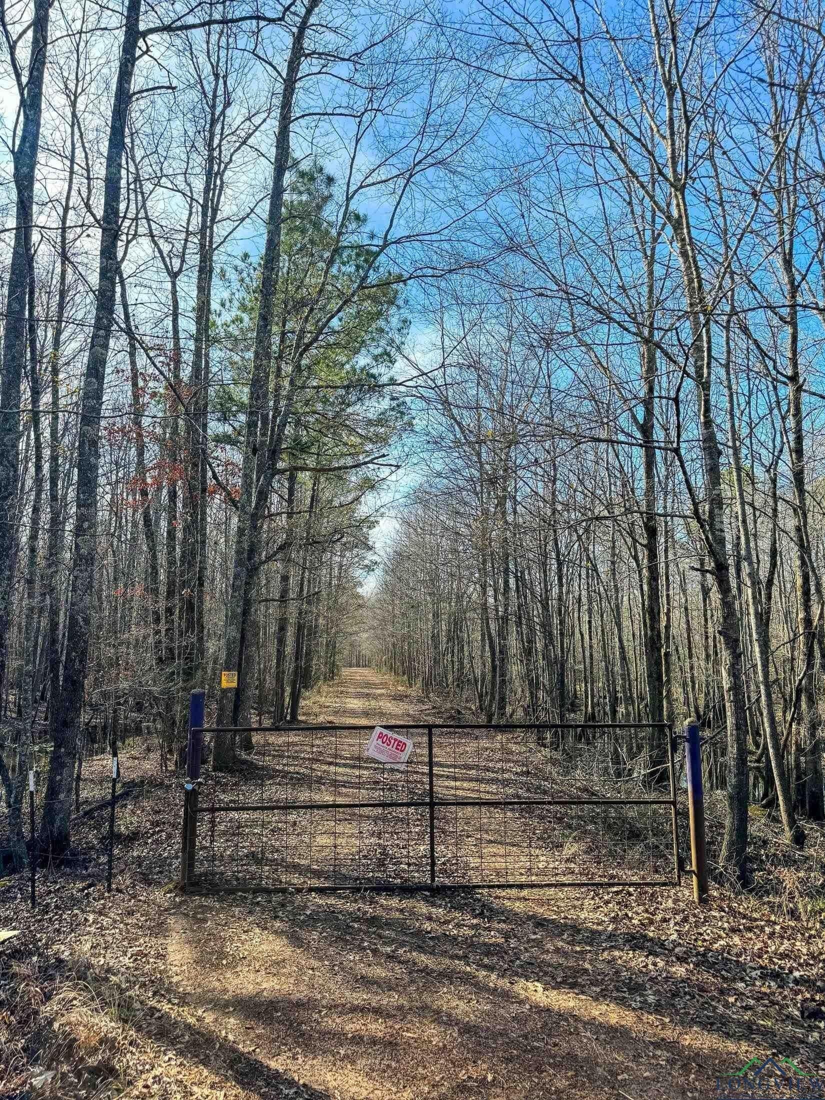 436.08 acres in Cass County - photo 29