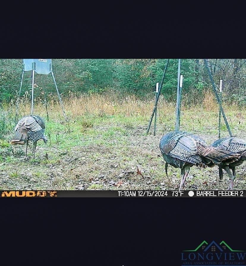 436.08 acres in Cass County - photo 43