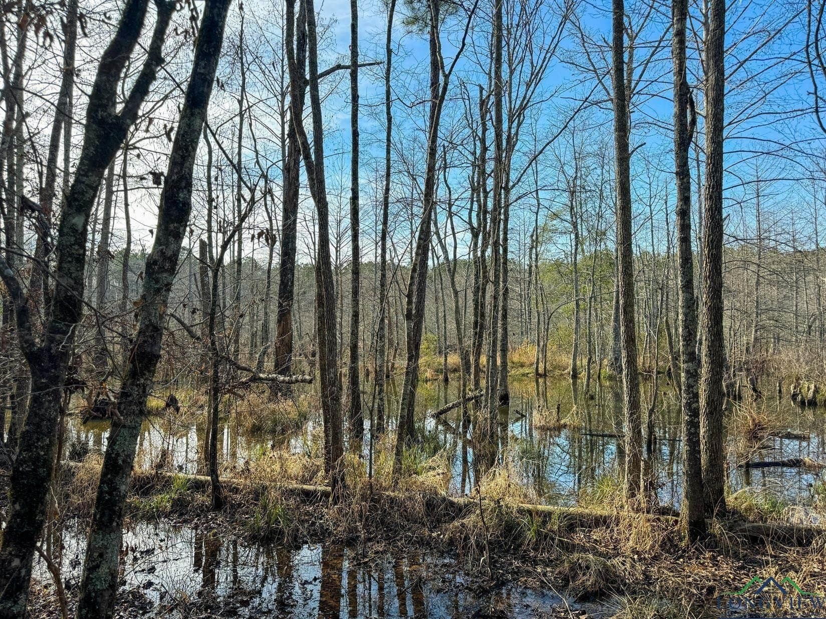 436.08 acres in Cass County - photo 37