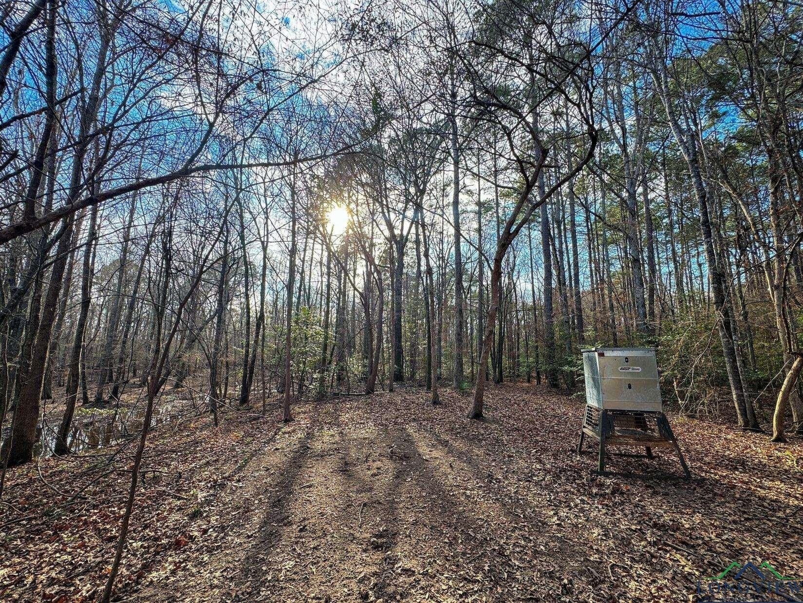 436.08 acres in Cass County - photo 36