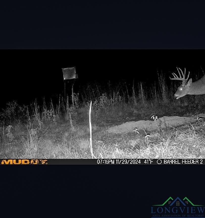 436.08 acres in Cass County - photo 21