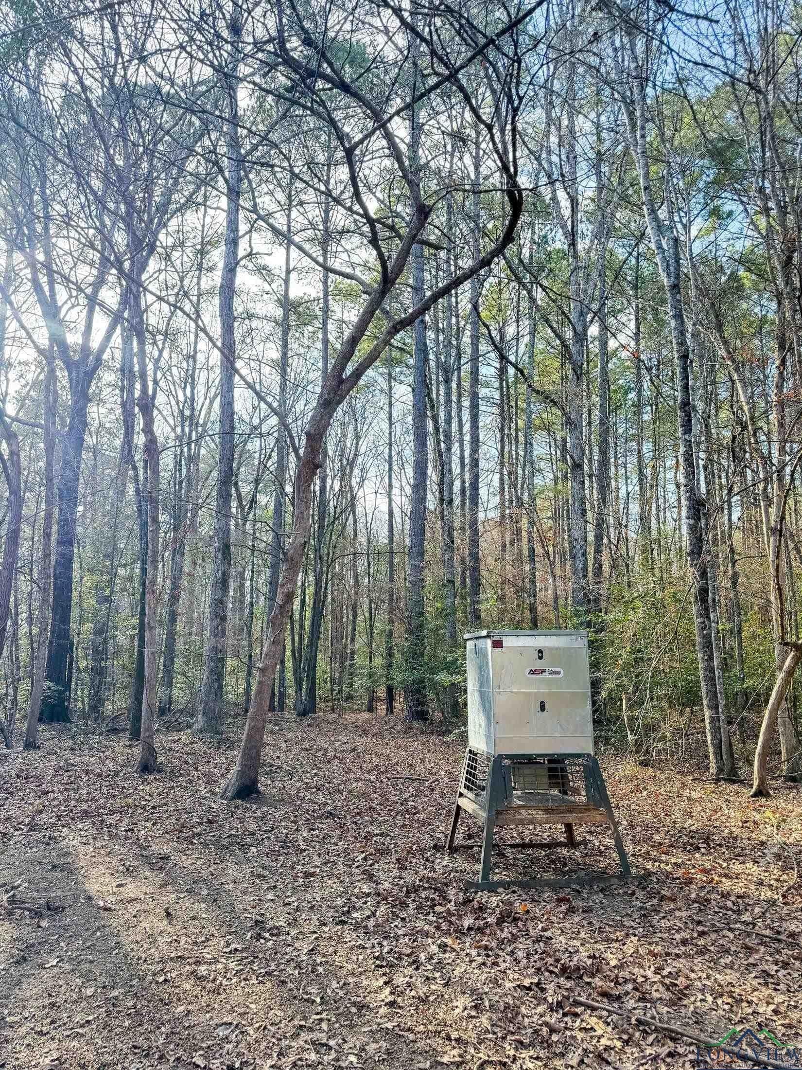 436.08 acres in Cass County - photo 35